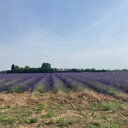 Prázdninový dům La Petite Maison En Pierres
